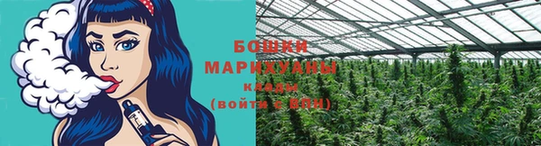 трава Арсеньев