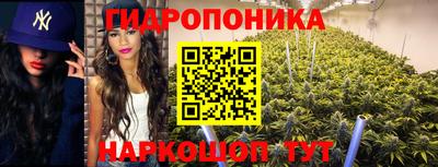 дмт Партизанск