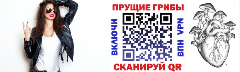 Галлюциногенные грибы мицелий  omg tor  Мурманск 
