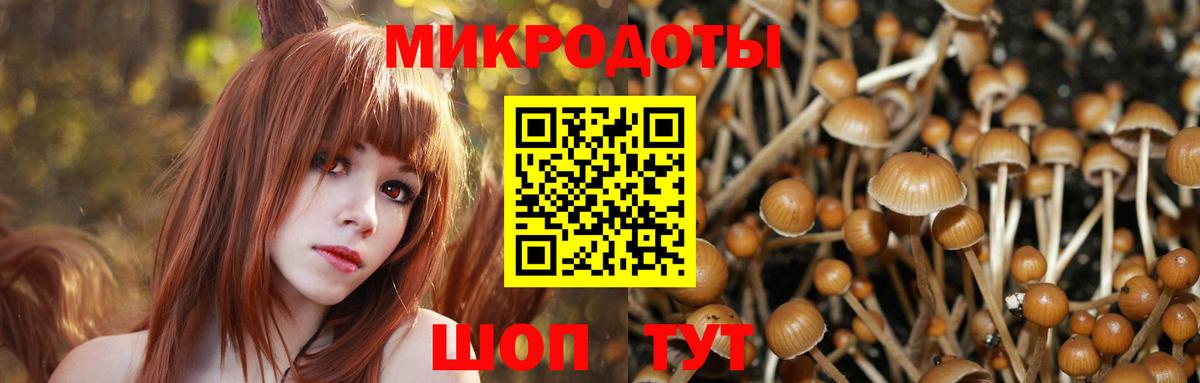 Мурманск  Галлюциногенные грибы мухоморы  Вход с VPN 